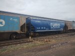 RUMO HTT-065564-1